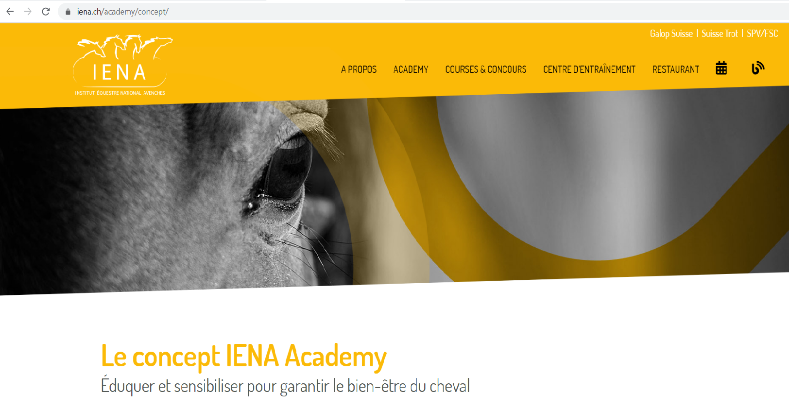 Reconversion-Retraite-Fin de vie chez le cheval / Umschulung-Ruhestand-Lebensende beim Pferd